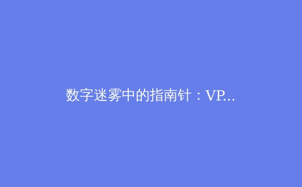 数字迷雾中的指南针：VPN技术演进与全球网络治理新格局深度解析 - 2