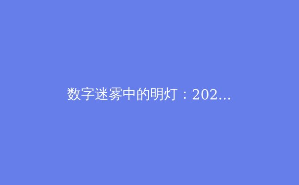 数字迷雾中的明灯：2024年VPN技术演进与全球网络安全态势深度解析 - 2